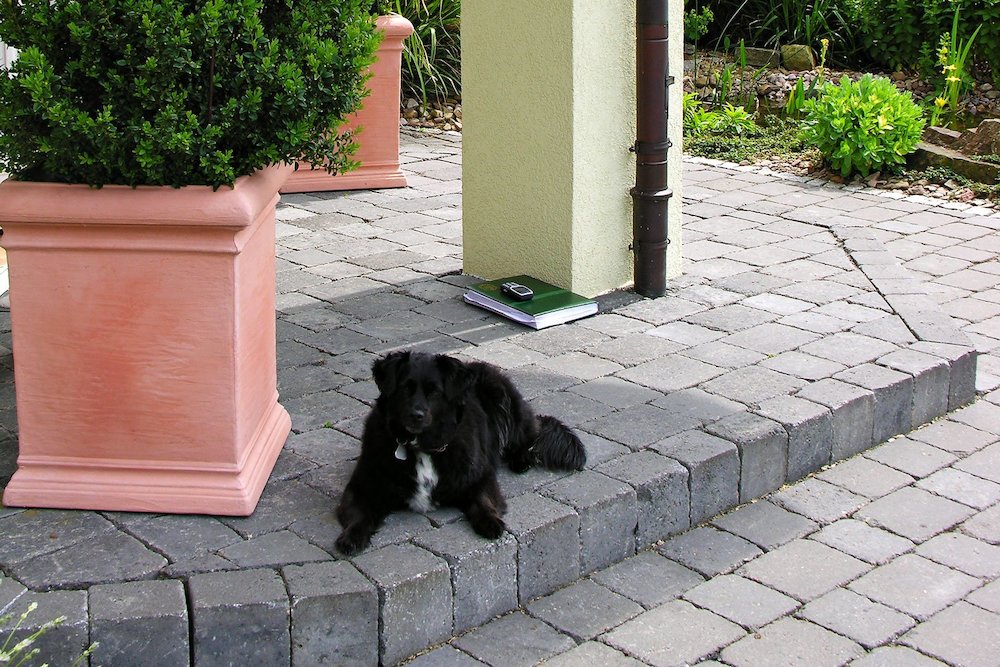 Entry 17 Image 4